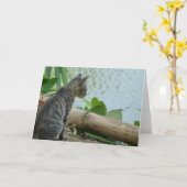 Kitten Greeting Card - Leere Karte (Gelbe Blume)