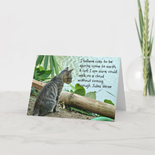 Kitten Greetings Card mit Zitat Karte