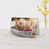 Kitten Grußkarte Nr. 3 Karte (Gelbe Blume)