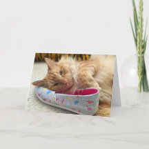 Kitten Grußkarte Nr. 3