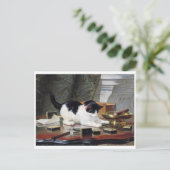 Kitten, Henriette Ronner-Knip Postkarte (Stehend Vorderseite)