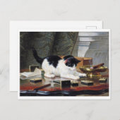 Kitten, Henriette Ronner-Knip Postkarte (Vorne/Hinten)