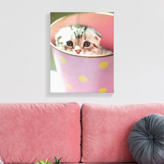 Kitten Hiding Leinwanddruck (Insitu (Wohnzimmer))