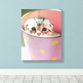 Kitten Hiding Leinwanddruck (Insitu (Holzboden))