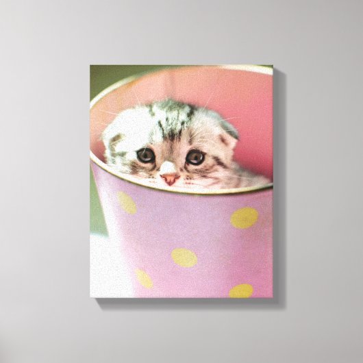Kitten Hiding Leinwanddruck (Vorderseite)