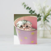 Kitten Hiding Postkarte (Stehend Vorderseite)