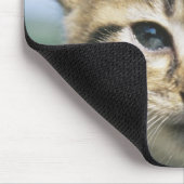 Kitten im Freien Mousepad (Ecke)