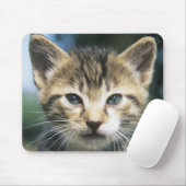 Kitten im Freien Mousepad (Mit Mouse)