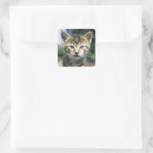 Kitten im Freien Quadratischer Aufkleber (Tasche)