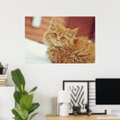 Kitten im Schnee Poster (Heimbüro)