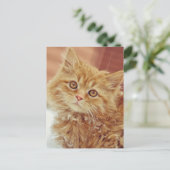 Kitten im Schnee Postkarte (Stehend Vorderseite)