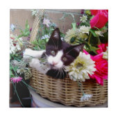Kitten in a Basket Fliese (Vorderseite)
