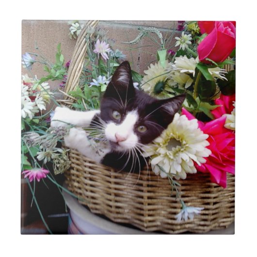 Kitten in a Basket Fliese (Vorderseite)