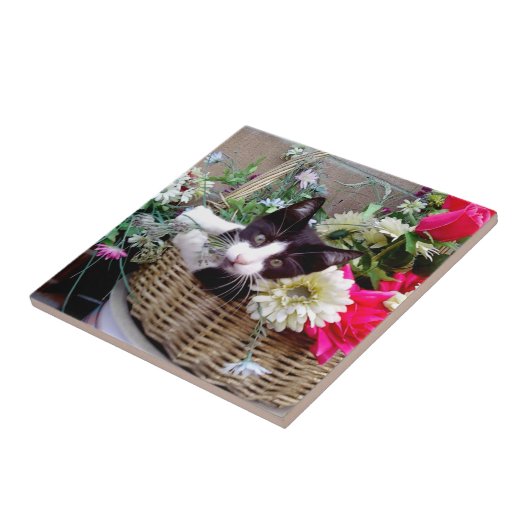 Kitten in a Basket Fliese (Seite)
