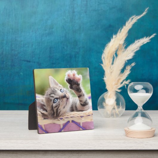 Kitten In A Basket Fotoplatte (InSitu)