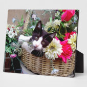 Kitten in a Basket Fotoplatte (Seite)