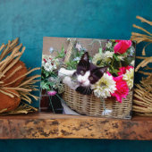 Kitten in a Basket Fotoplatte (Seite)