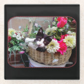Kitten in a Basket Glasuntersetzer (Vorderseite)