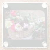 Kitten in a Basket Glasuntersetzer (Rückseite)