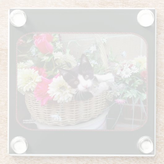 Kitten in a Basket Glasuntersetzer (Rückseite)