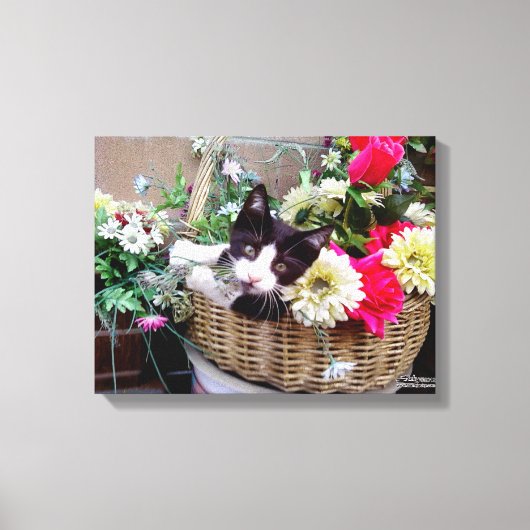 Kitten in a Basket Leinwanddruck (Vorderseite)