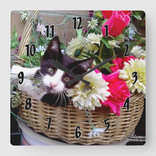 Kitten in a Basket Quadratische Wanduhr (Vorderseite)