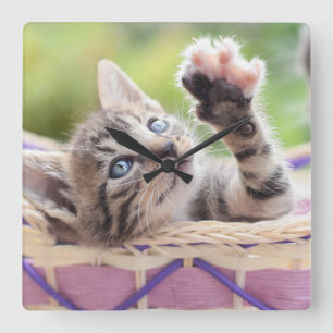 Kitten In A Basket Quadratische Wanduhr