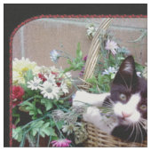 Kitten in a Basket Stoff (Nahaufnahme)