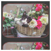 Kitten in a Basket Stoff (Muster)