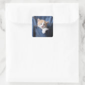 Kitten in Blue Jeans Quadratischer Aufkleber (Tasche)