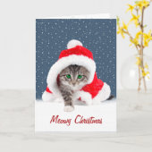 Kitten in Christmas Weihnachtsmannmütze und Snowfl Karte (Gelbe Blume)