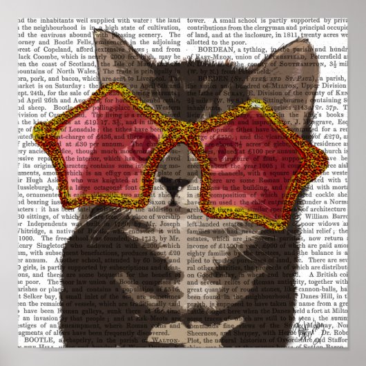 Kitten in der Star-Sonnenbrille Poster (Vorne)
