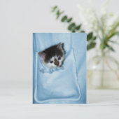 Kitten in der Tasche Postkarte (Stehend Vorderseite)