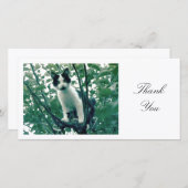 Kitten in einem Apfelbaum - Danke (Vorne/Hinten)