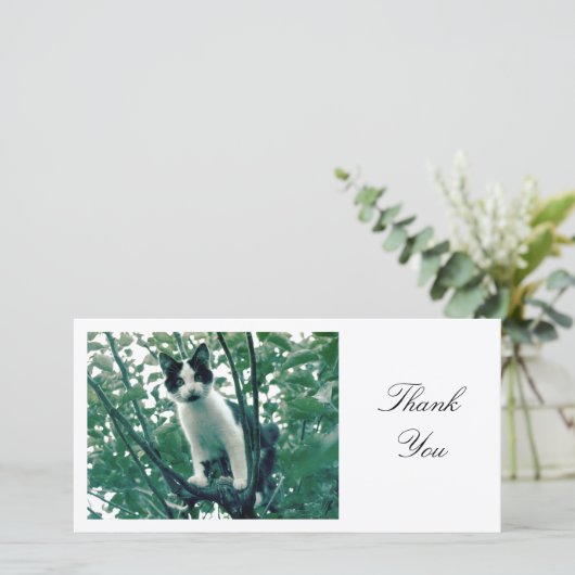 Kitten in einem Apfelbaum - Danke (Stehend Vorderseite)