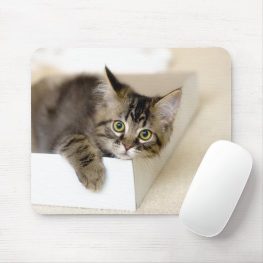 Kitten in einem Box-Mousepad Mousepad (Mit Mouse)