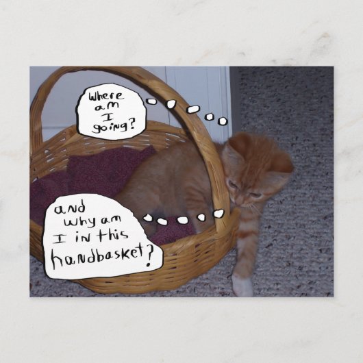 Kitten in einem Handkorb Postkarte (Vorderseite)