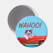 Kitten in einem roten Cabrio Magnet (Vorderseite/Rückseite)