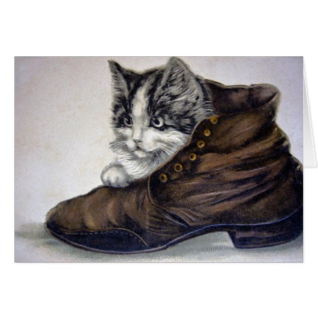 Kitten in einem Schuhwerk (Vorderseite (Horizontal))