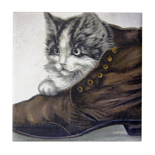 Kitten in einem Schuhwerk Fliese (Vorderseite)