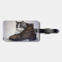 Kitten in einem Schuhwerk