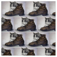 Kitten in einem Schuhwerk