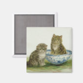 Kitten in einer Blue China Bowl Magnet (Vorderseite/Rückseite)