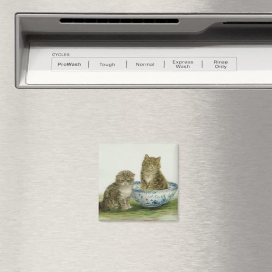 Kitten in einer Blue China Bowl Magnet (In Situ (Geschirrspüler))