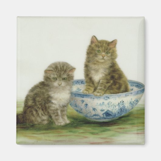 Kitten in einer Blue China Bowl Magnet (Vorne)