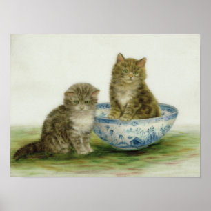 Kitten in einer Blue China Bowl Poster