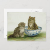 Kitten in einer Blue China Bowl Postkarte (Vorne/Hinten)