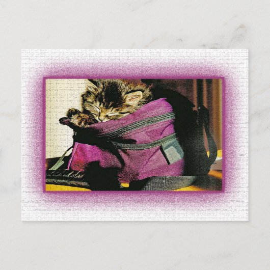 Kitten in einer Burgunder-Portion schlafen Postkarte (Vorderseite)
