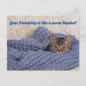 Kitten in einer Deckenkarte Postkarte (Vorderseite)