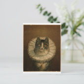 Kitten in einer elisabethanischen Rüsche Postkarte (Stehend Vorderseite)